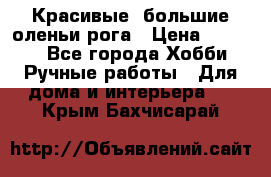 Красивые  большие оленьи рога › Цена ­ 3 000 - Все города Хобби. Ручные работы » Для дома и интерьера   . Крым,Бахчисарай